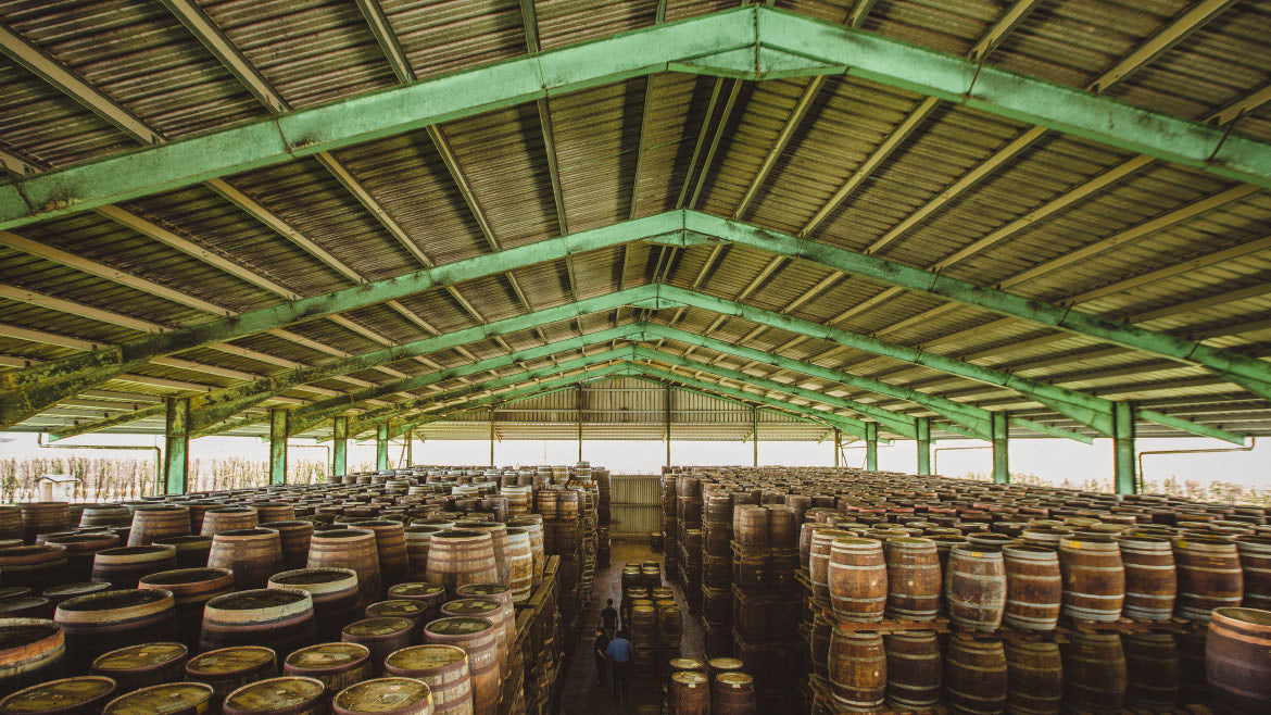 Image of many barrels of rum ageing in large warehouse at Foursquare Distillery In Barbados