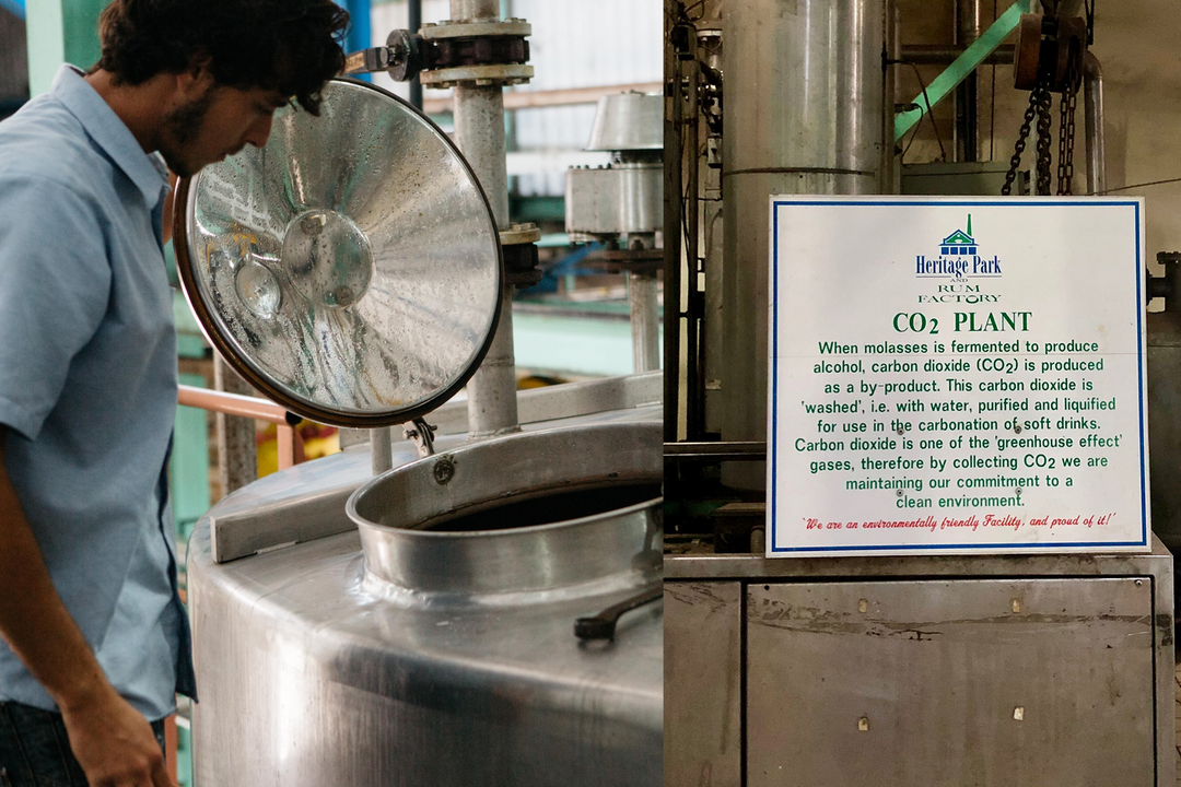 Image of person checking on fermentations at Foursquare Distillery in Barbados and sign describing how they capture CO2 created during fermentation for other uses on the island.