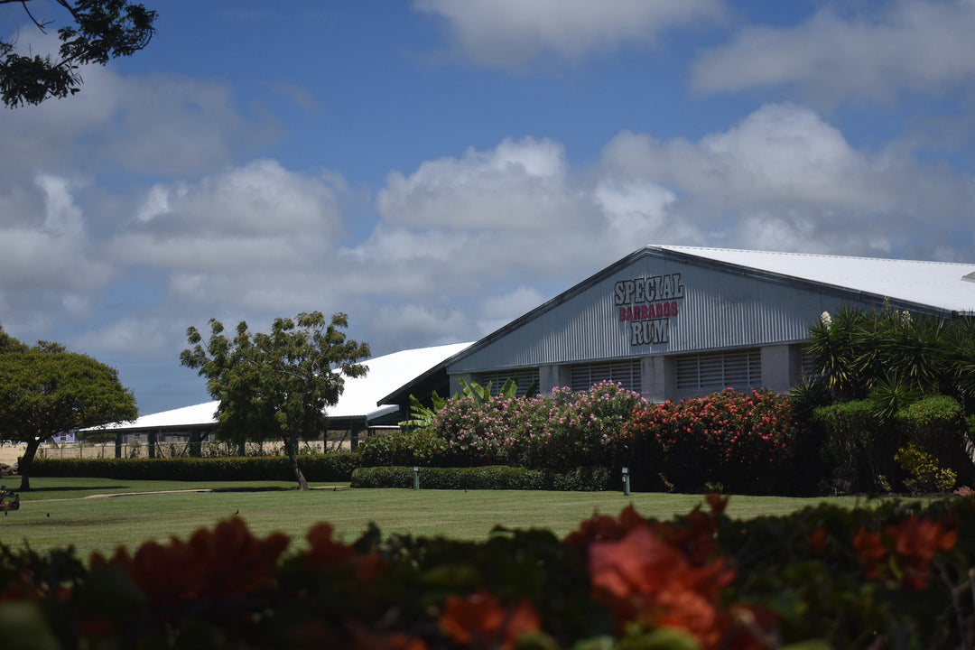 Image of exterior of Foursquare Distillery in Barbados, blue skies, flowers, palm fronds and green grass