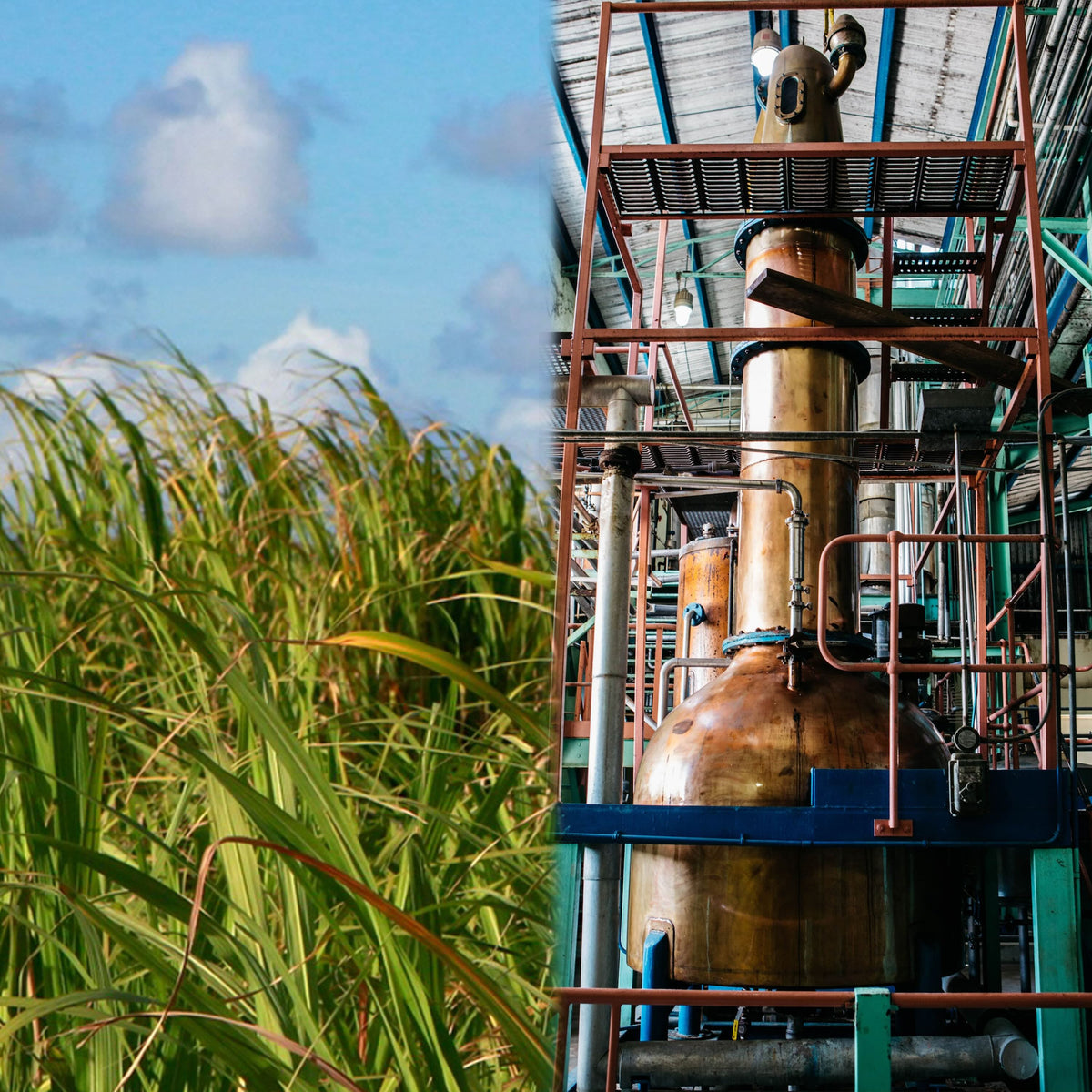 Deep Dive - What is Rum? How is it different than other alcohol?